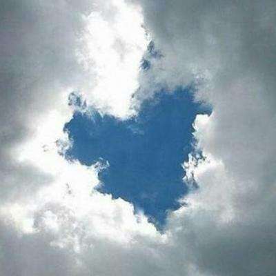 万博max体育官网