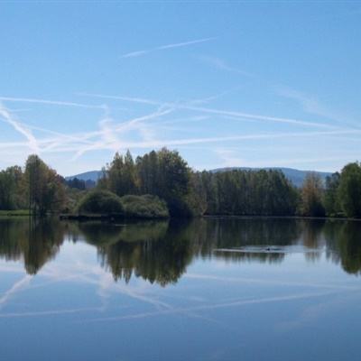 雷竞技RAYBET手机app下载