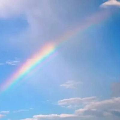 im电竞官方网站入口·官方网站